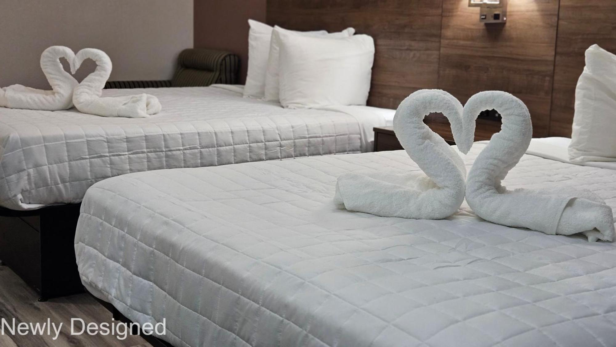 Best Western Hopkinsville Ky - Brand New Rooms Esterno foto